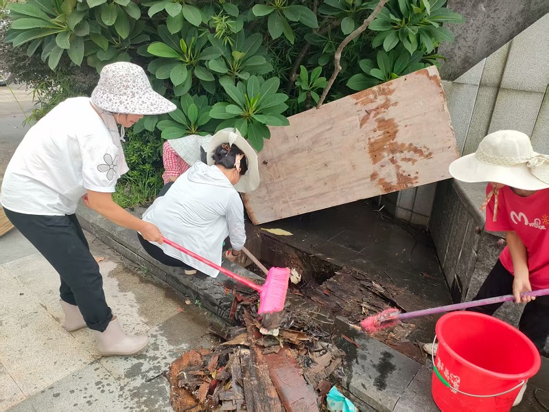 清理易滋生蚊蟲溝渠.jpg